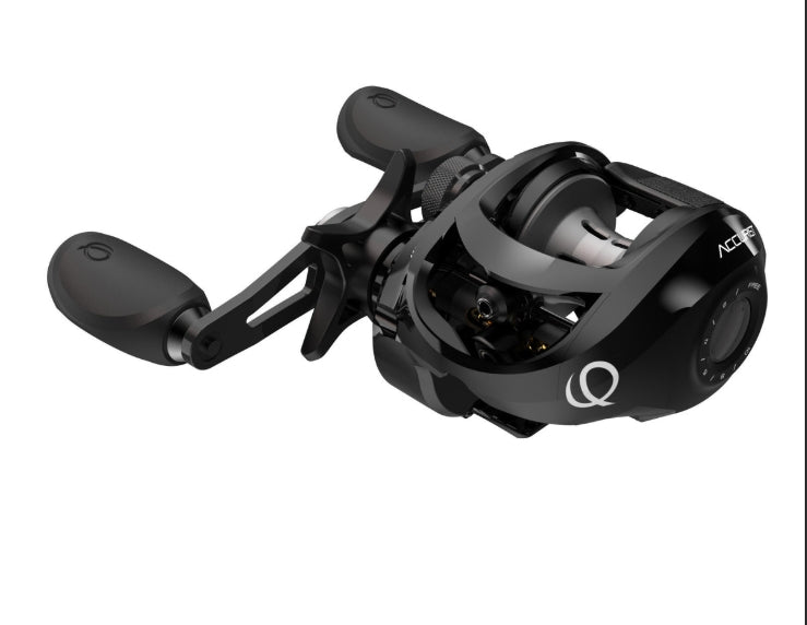 QUANTUM QUANTUM PT RH BLK ATBK100HPTA.BX2